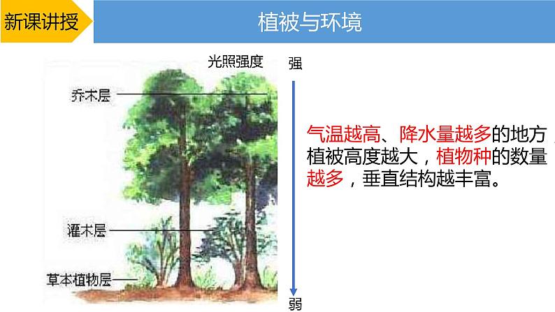 2019-2020学年【新教材】人教版高中地理必修1课件：5.1植被（20张）07