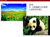 人教版高中地理必修一：1.2《太阳对地球的影响》课件3（共31 张PPT）