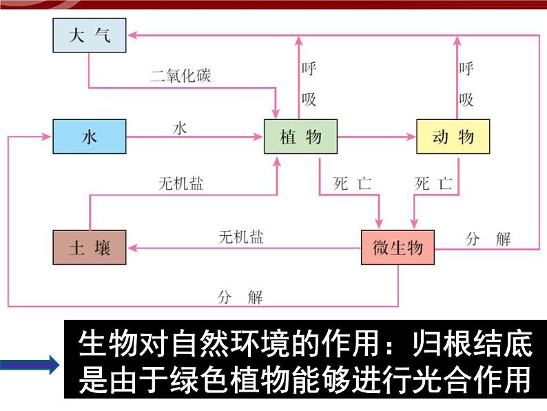 人教版高中地理必修一：5.1. 《自然地理环境的整体性 》课件（共24 张PPT）04