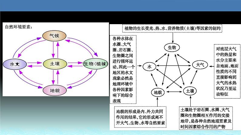 26  自然地理环境的整体性-2021年高考地理一轮复习考点大通关 课件05