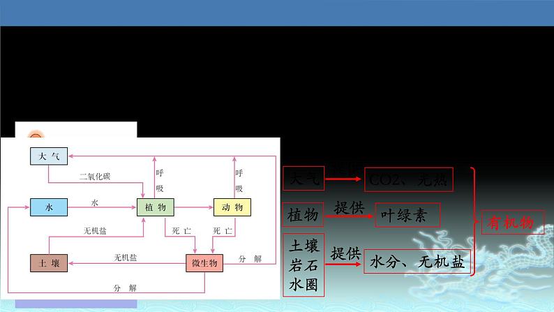 26  自然地理环境的整体性-2021年高考地理一轮复习考点大通关 课件06