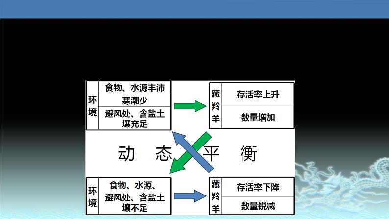 26  自然地理环境的整体性-2021年高考地理一轮复习考点大通关 课件07