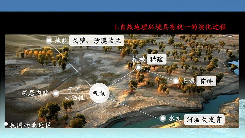 26  自然地理环境的整体性-2021年高考地理一轮复习考点大通关 课件08