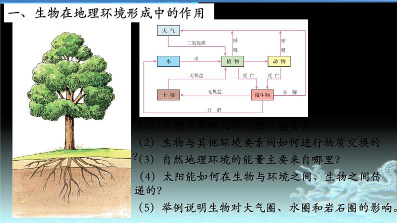 28  生物与地理环境-2021年高考地理一轮复习考点大通关 课件03