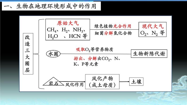 28  生物与地理环境-2021年高考地理一轮复习考点大通关 课件04