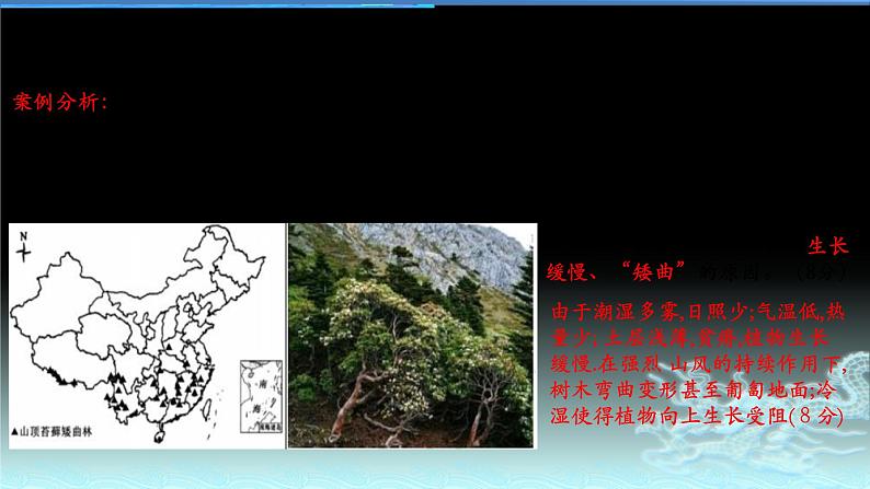 28  生物与地理环境-2021年高考地理一轮复习考点大通关 课件08