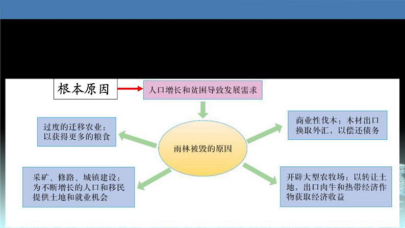 44  森林的开发与保护—以亚马孙热带雨林为例-2021年高考地理一轮复习考点大通关 课件07