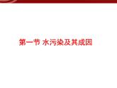 高中地理人教版 (新课标)选修6 第二章 环境污染与防治 2.1水污染及其成因 课件