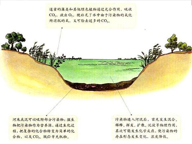 高中地理人教版 (新课标)选修6 第二章 环境污染与防治 2.1水污染及其成因 课件06