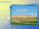 4.5中国区域生态环境问题及其防治途径