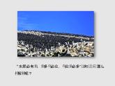自然环境的整体性PPT课件免费下载