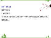 2021版高考地理核心讲练答一轮复习鲁教通用版（课件+核心考点+课时提升作业）：第6单元城市与地理环境 第3讲