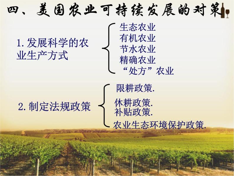 高中地理湘教版必修三区域农业可持续发展3 课件06