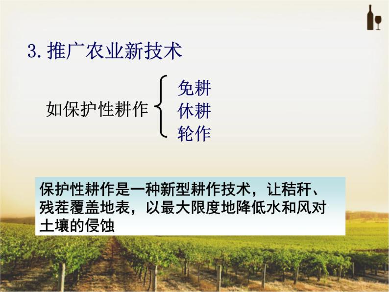 高中地理湘教版必修三区域农业可持续发展3 课件07