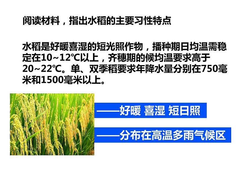 3.2以种植业为主的农业地域类型必修2人教版高中地理 课件03