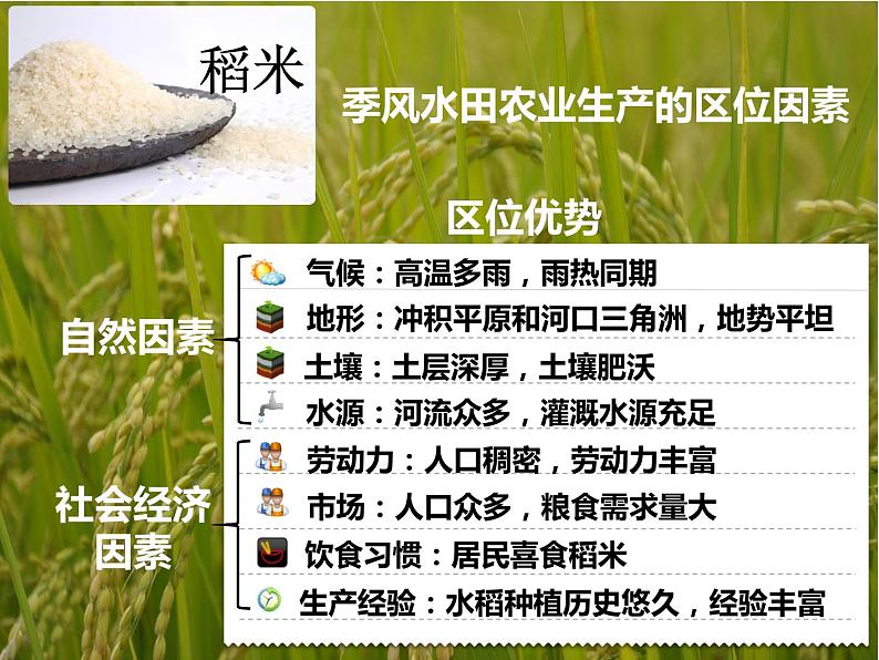 3.2以种植业为主的农业地域类型必修2人教版高中地理 课件05
