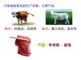 3.3以畜牧业为主的农业地域类型必修2人教版高中地理 课件