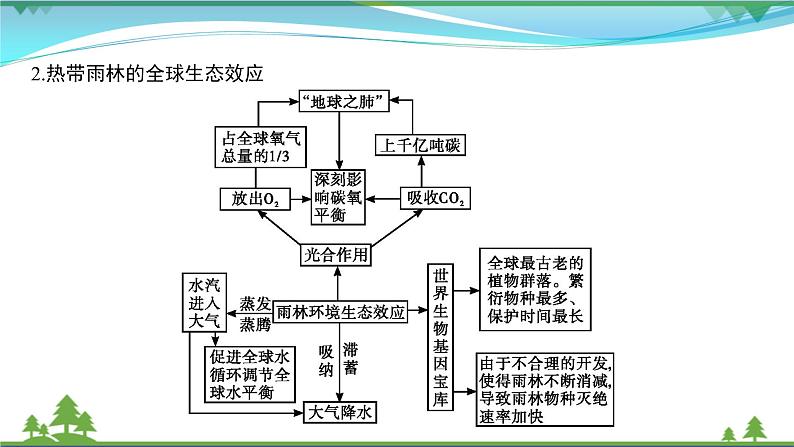 2021届高考地理总复习第29讲《森林湿地的开发与保护》PPT课件03