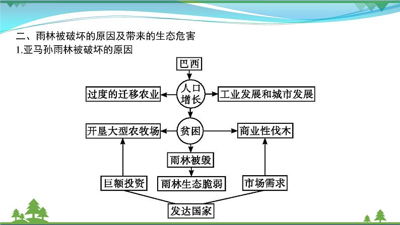 2021届高考地理总复习第29讲《森林湿地的开发与保护》PPT课件04