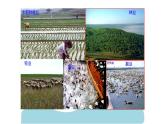 2.5 《中国的农业》 一轮复习课件PPT
