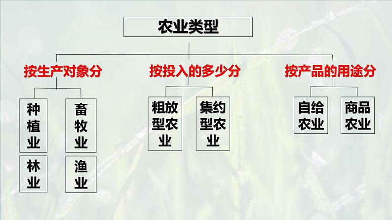 2.5 《中国的农业》 一轮复习课件PPT第4页