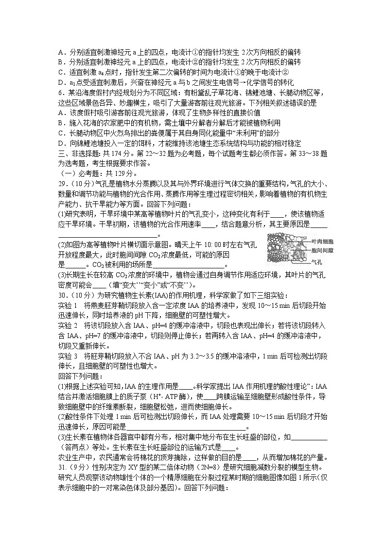 河南省九师联盟2021届高三下学期四月联考理科综合生物试题+答案02