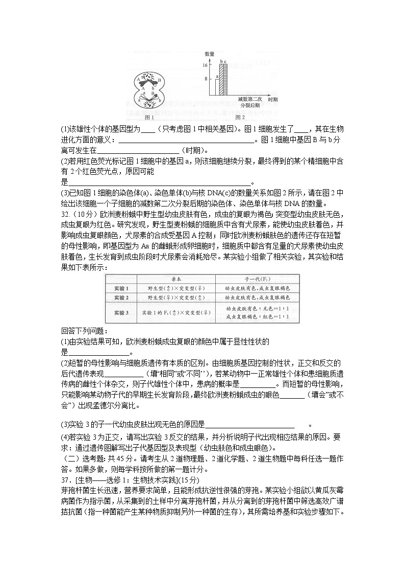 河南省九师联盟2021届高三下学期四月联考理科综合生物试题+答案03