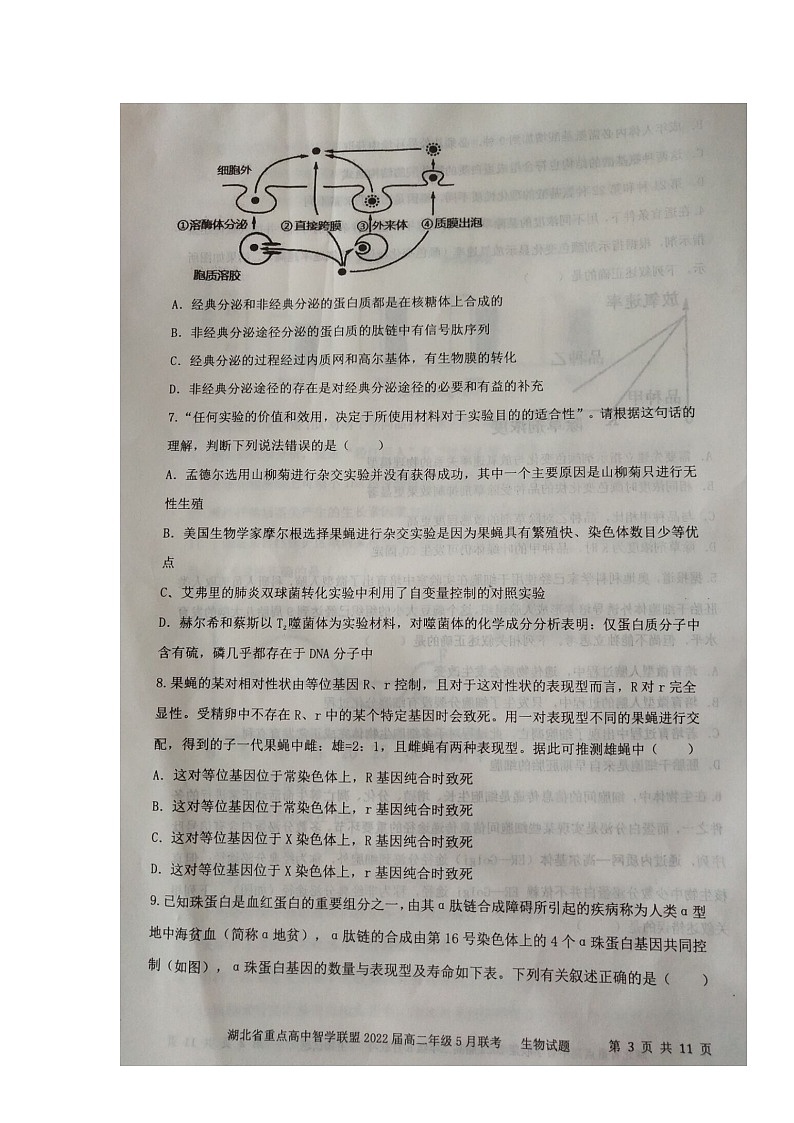 湖北省重点高中智学联盟2020-2021学年高二下学期5月联考生物试题+答案 (图片版)03