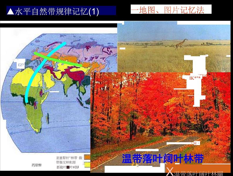 高考地理一轮复习 高中地理自然带第4页