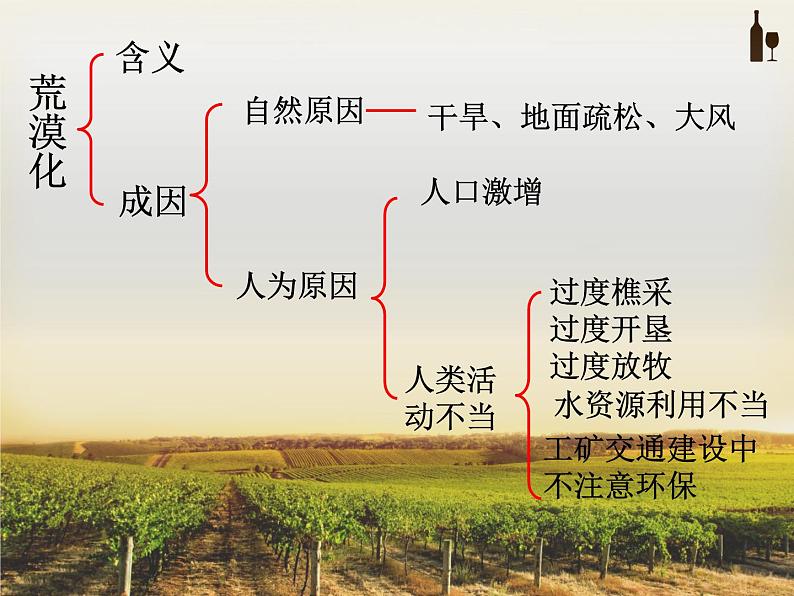 第一节 荒漠化的危害与治理 --以我国的西北地区为例 第2课时第3页