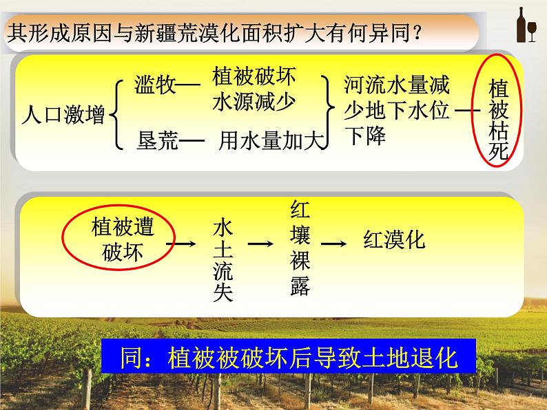 第一节 荒漠化的危害与治理 --以我国的西北地区为例 第2课时第8页