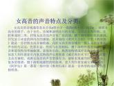 高中音乐《人声的分类》课件