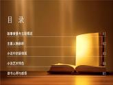 棕色简约安娜卡列尼娜导读PPT