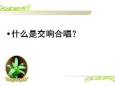 人音版高中音乐选修《歌唱》第5单元《欢乐颂——《第九交响曲》第四乐章》(5)课件