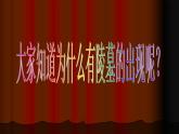 第十一课  中国古代陵墓雕塑和宗教雕塑课件PPT