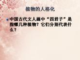 湘教版高中美术选修：美术鉴赏第三课 托物寄情 课件