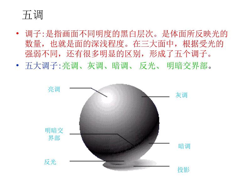 人美版高中美术必修《绘画》 第4课 单纯丰富 造型基础（课件）第5页