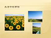 人美版高中美术必修《美术鉴赏》 第六课 漂亮是美术鉴赏的标准吗？——艺术美和形式美_（课件）