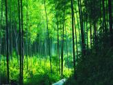 湘教版高中美术选修：美术鉴赏 第三单元  第三课  托物寄情_（课件）