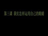 湘教版高中美术选修：美术鉴赏 第一单元 第一课 什么是美术作品(4)（课件）