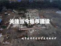 人美版《美术鉴赏》第二十课 关注当今城市建设--城市建设开发与古建筑的保护教学课件ppt