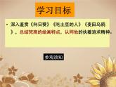高中美术 《美术鉴赏》  对客观世界的主观表达--走进意象艺术 3 课件
