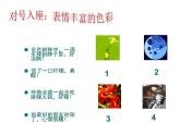 高中美术 《美术鉴赏》  美术作品可以什么都不像吗--走进抽象艺术 2 课件