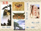湘美版美术 鉴赏 3.1.3托物寄情课件 课件