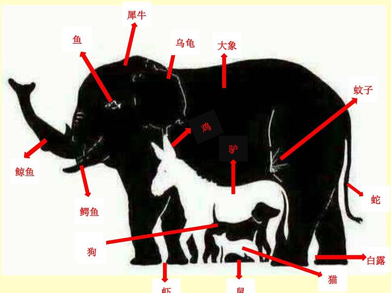 湘美版美术 绘画 1.2形的视觉印象 课件05