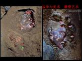 湘美版美术 鉴赏 3.1.6战争与和平 课件