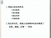 名师精创 《美术的曙光——史前与早期文明的美术》课件