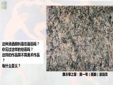 名師精創(chuàng) 《實(shí)驗(yàn)與多元——20世紀(jì)以來的西方美術(shù)》課件