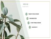 第六單元 主題一 交流與傳承——東西文化碰撞中的藝術(shù)嬗變 PPT課件+教案+學(xué)習(xí)任務(wù)單