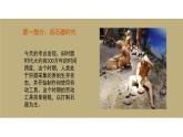 中國(guó)美術(shù)史（史前上）課件